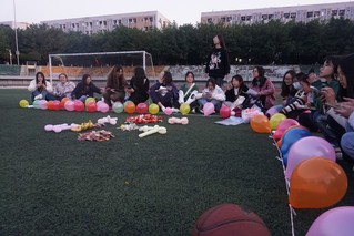 博彩导航网